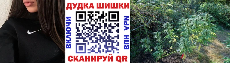 Лсд 25 Сусуман