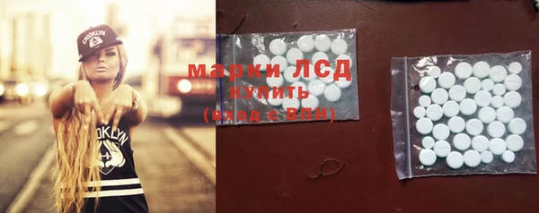 гидра Мегион