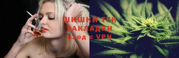 гидра Мегион