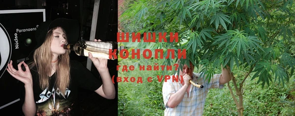 молекула духа Бежецк
