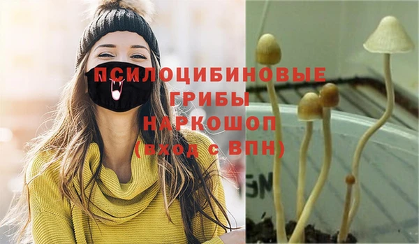 прущий лед Медвежьегорск