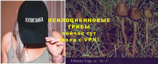 прущий лед Медвежьегорск