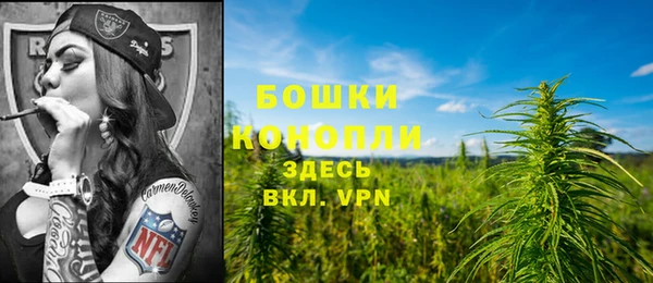 гидра Мегион