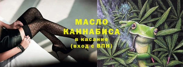 гидра Мегион