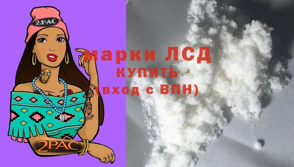 гидра Мегион