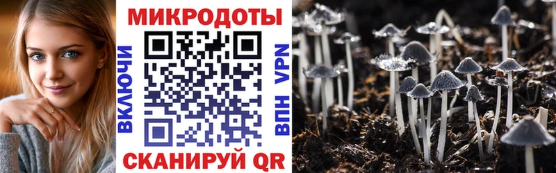 omg сайт  Сусуман  Галлюциногенные грибы MAGIC MUSHROOMS 